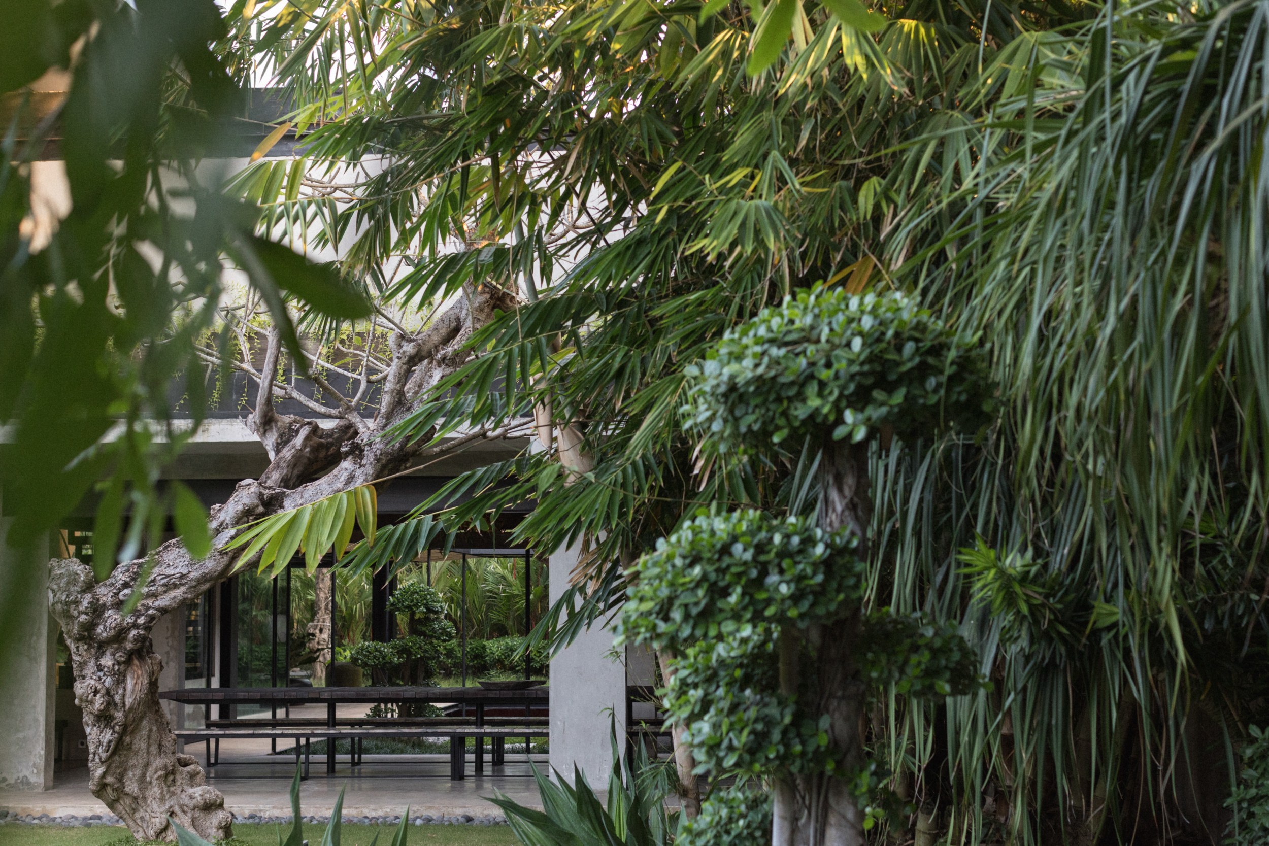 Lujosa Villa de 5 Dormitorios en Seminyak — imagen 15