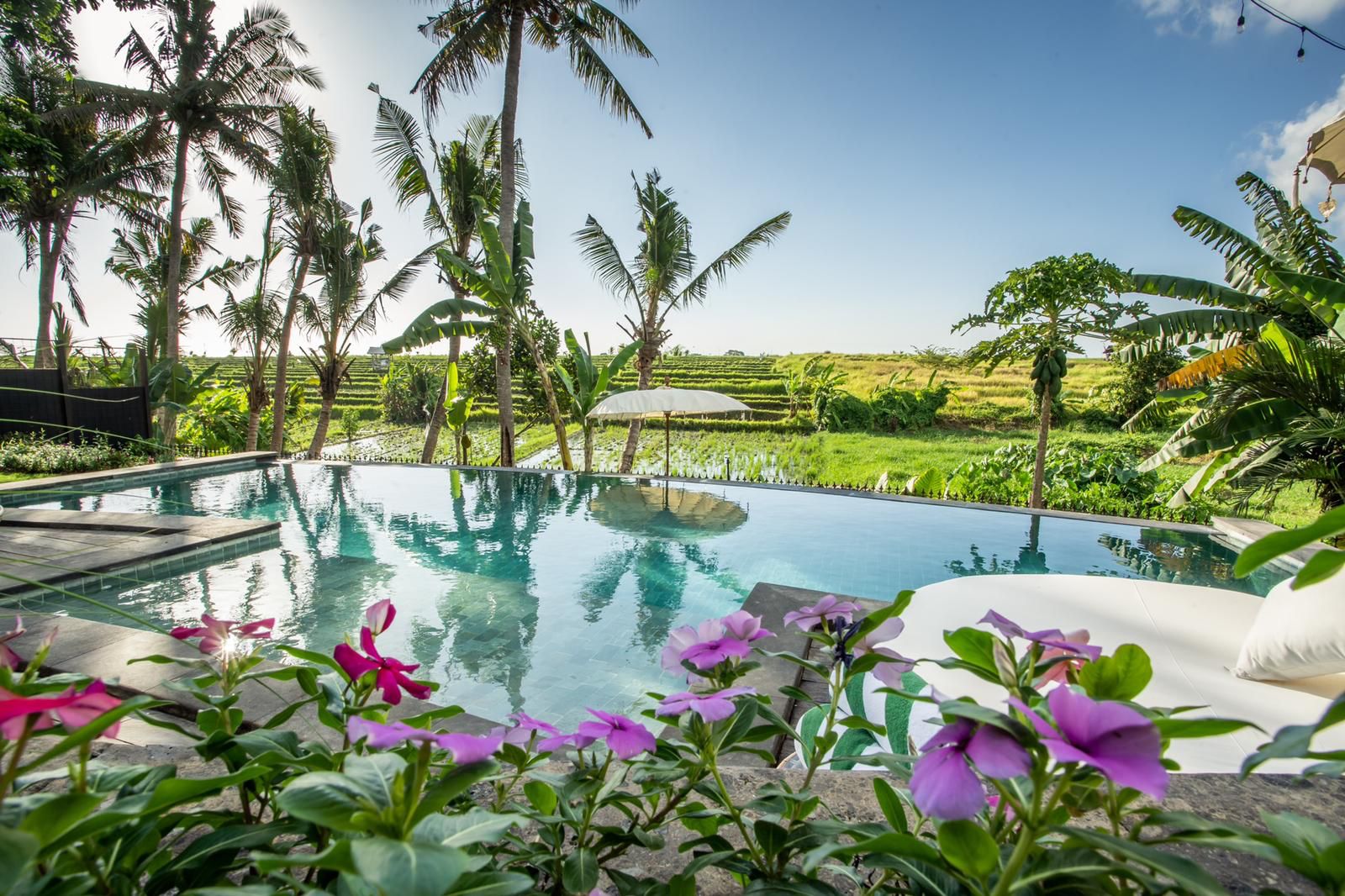 Exclusivo Complejo de Villas con Vistas a los Arrozales en Canggu — imagen 51