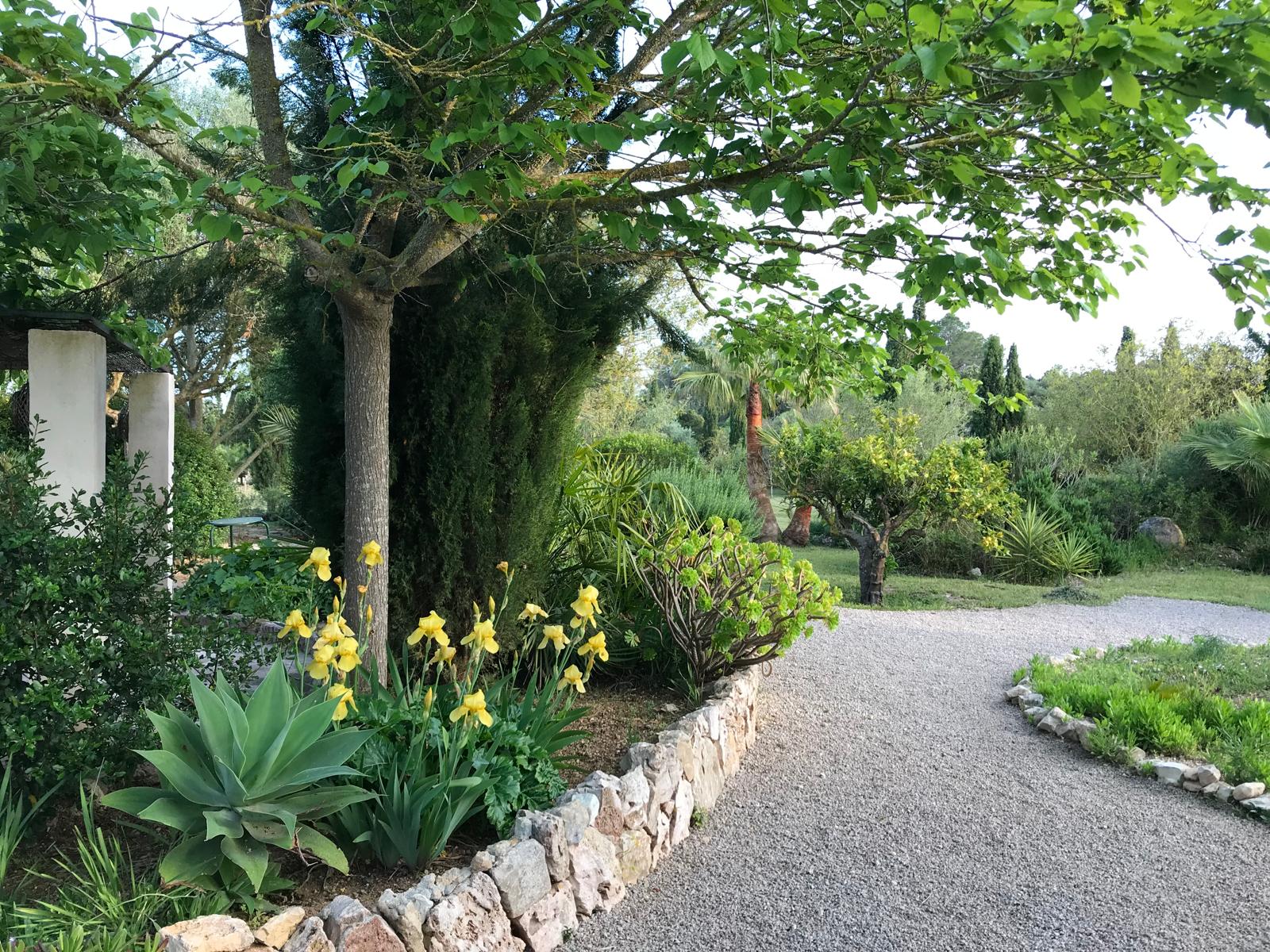 FINCA RUSTICA CON LICENCIA VACACIONAL (ETV) EN MALLORCA — imagen 18