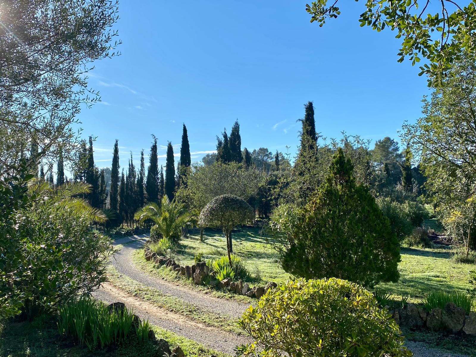 FINCA RUSTICA CON LICENCIA VACACIONAL (ETV) EN MALLORCA — imagen 19