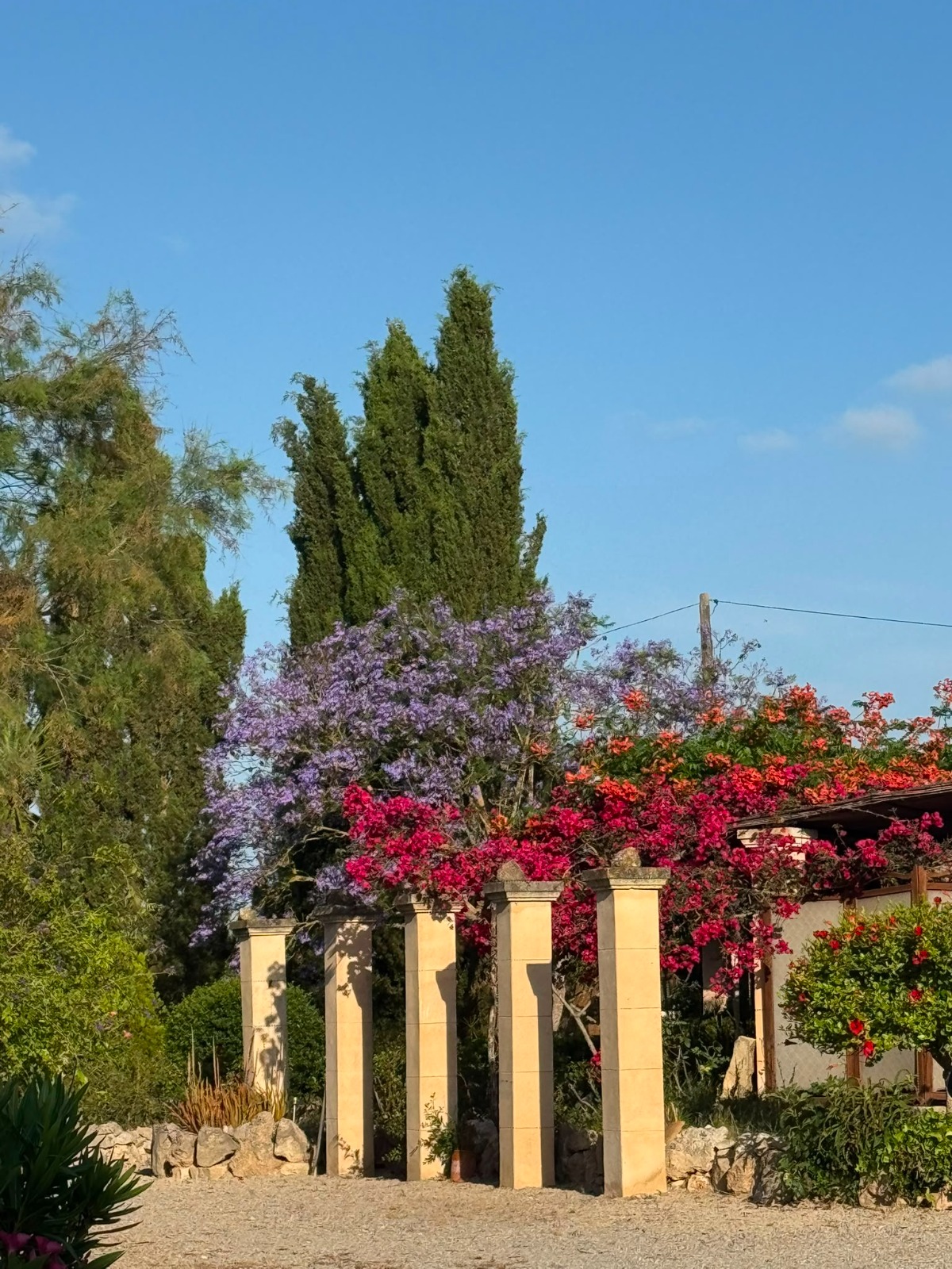FINCA RUSTICA CON LICENCIA VACACIONAL (ETV) EN MALLORCA — imagen 25