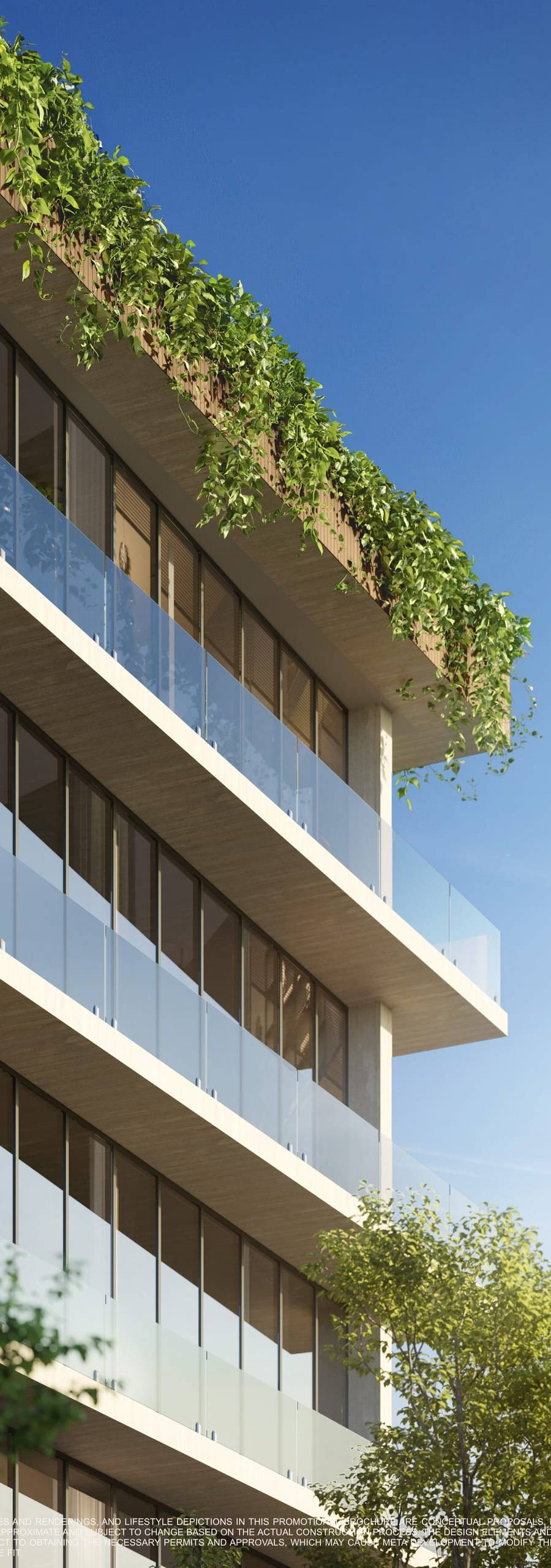 Opus Coconut Grove — imagen 15