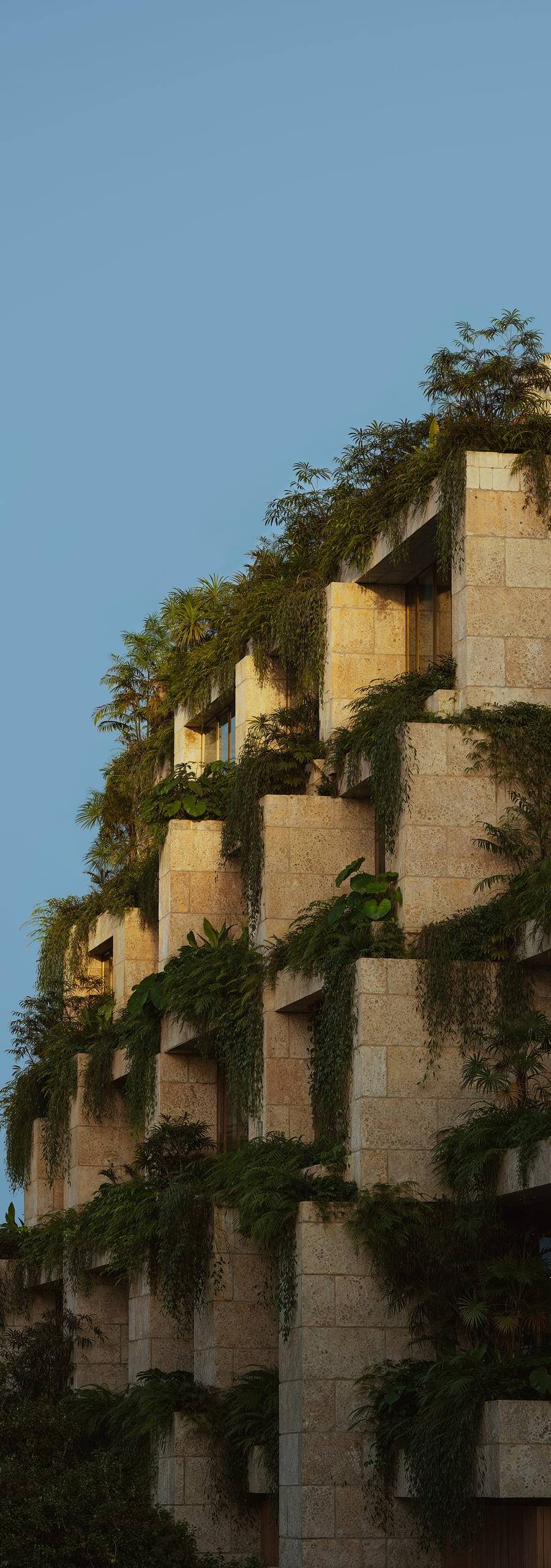 Ziggurat — imagen 5