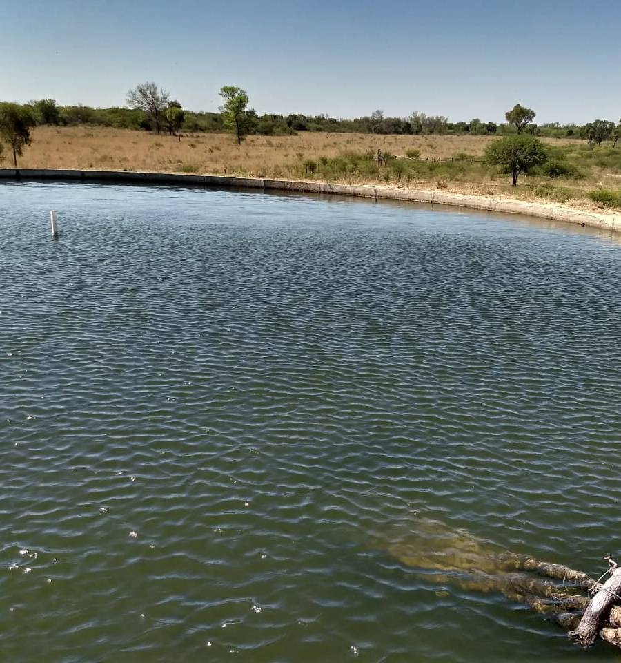 CAMPO PARA EXPLOTACIÓN AGRÍCOLA Y GANADERO — imagen 7
