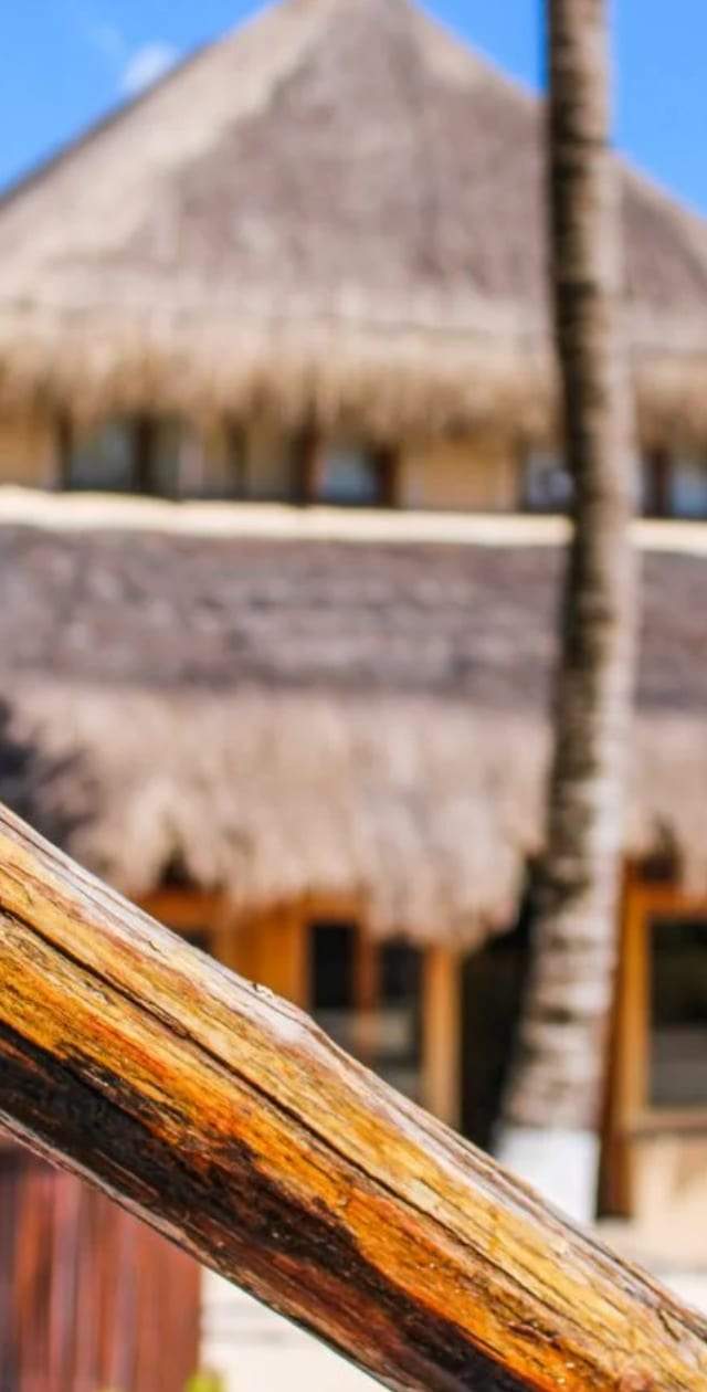 HOTEL FRENTE A LA PLAYA EN TULUM — imagen 4