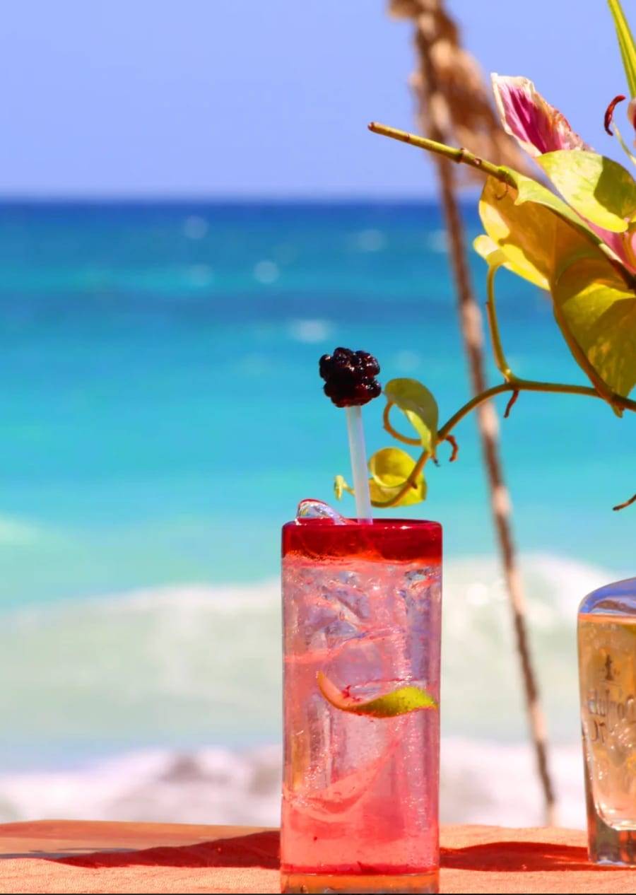 HOTEL FRENTE A LA PLAYA EN TULUM — imagen 6