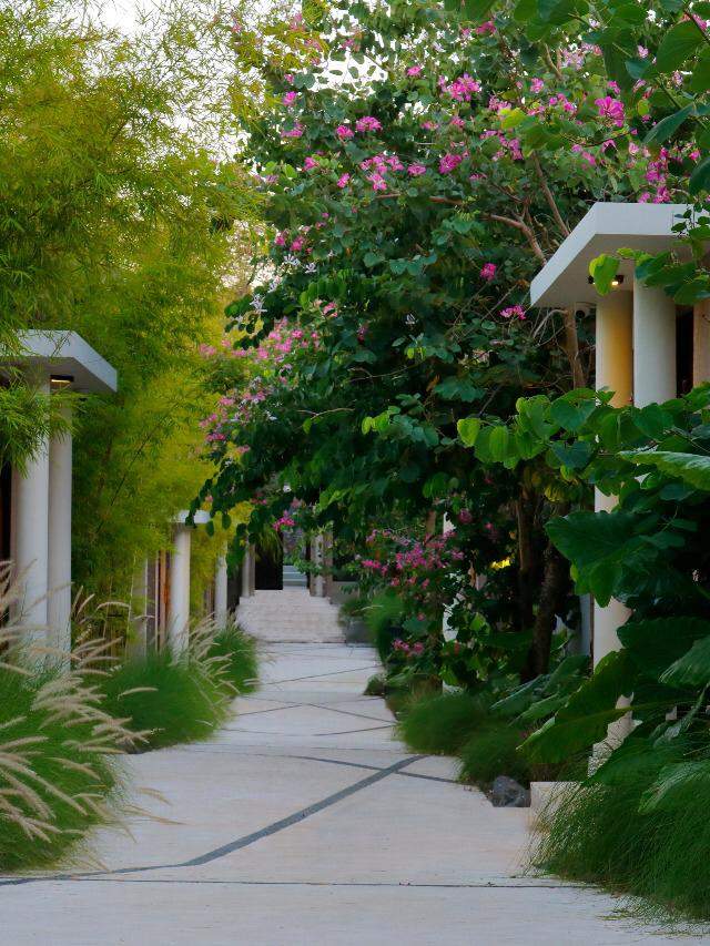 Villas Tropicales Freehold en Venta en Nusa Dua