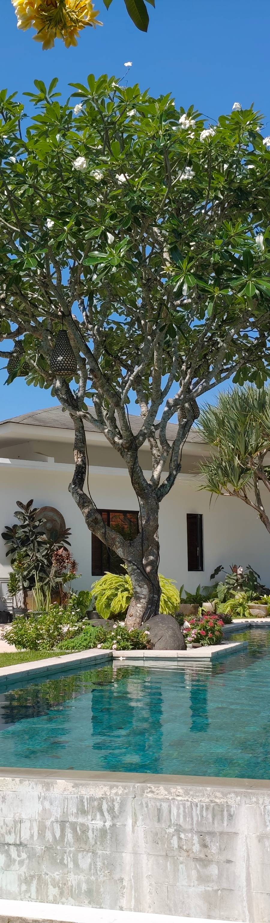Lujosa Villa Leasehold en Bumbak, Umalas — imagen 14