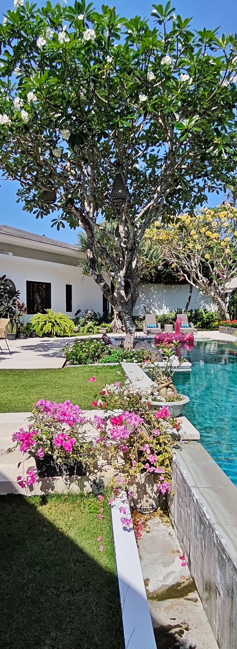 Lujosa Villa Leasehold en Bumbak, Umalas — imagen 15