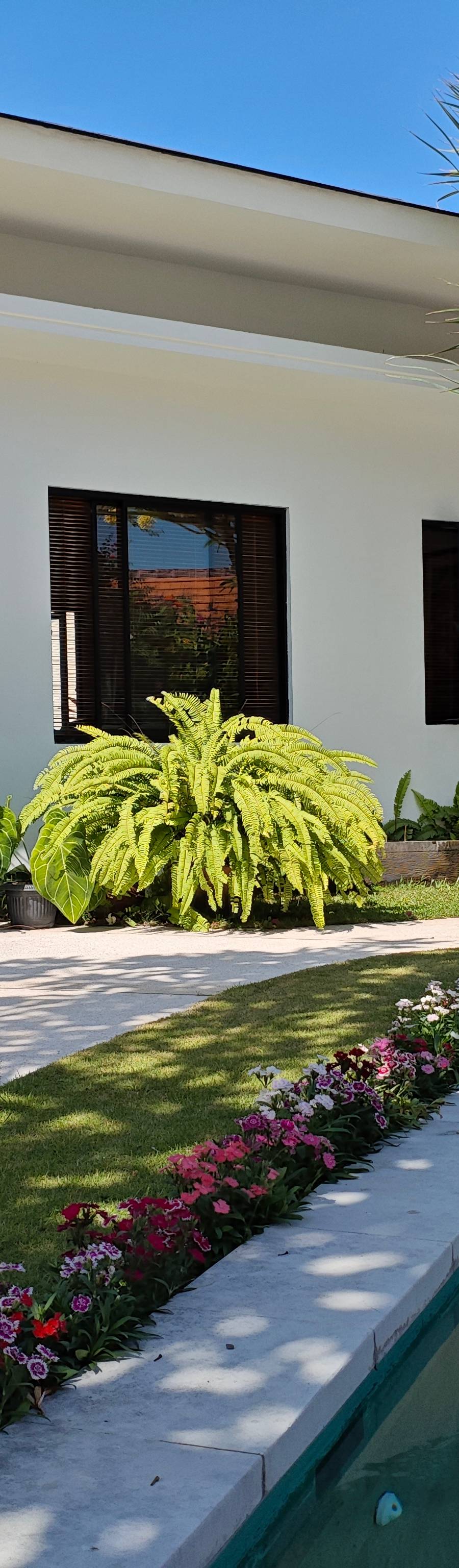 Lujosa Villa Leasehold en Bumbak, Umalas — imagen 21