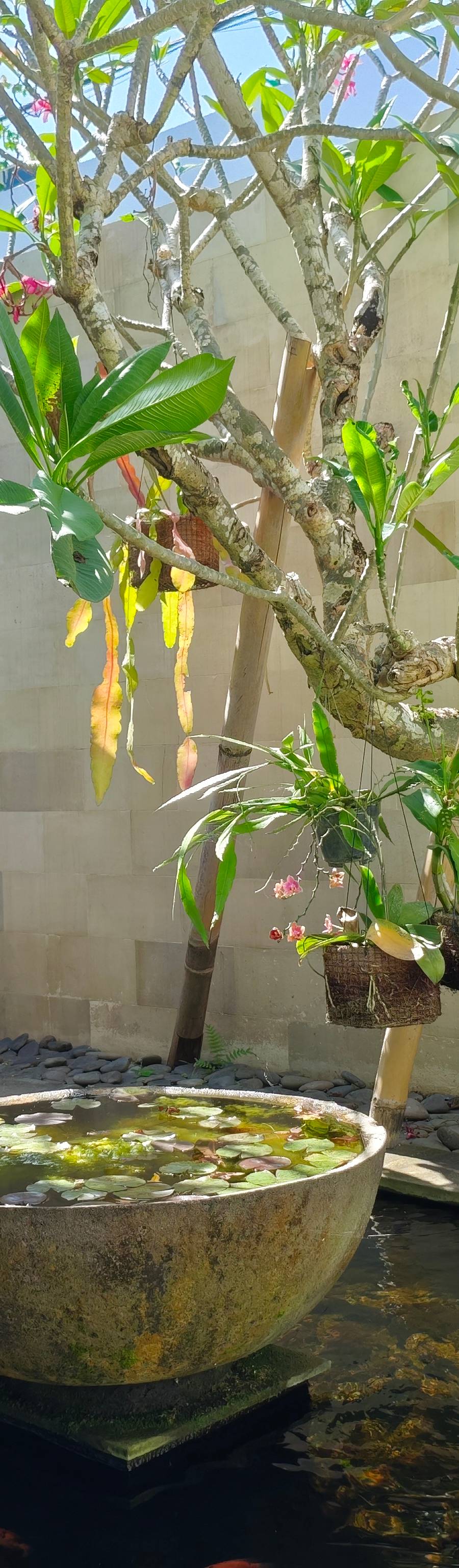 Lujosa Villa Leasehold en Bumbak, Umalas — imagen 26