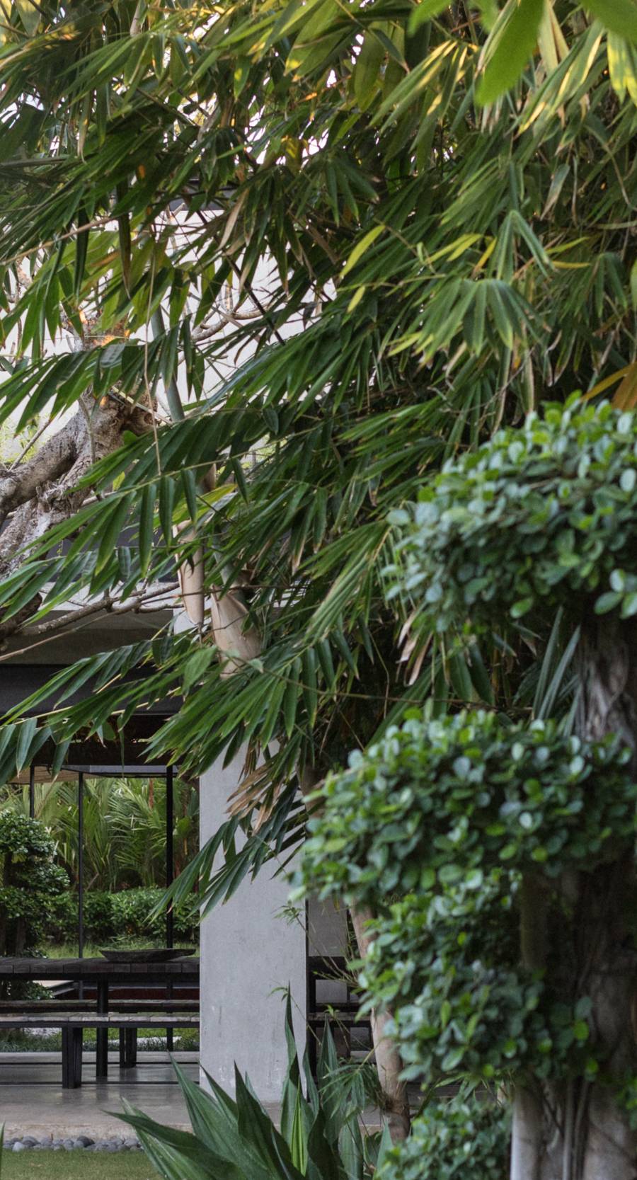 Lujosa Villa de 5 Dormitorios en Seminyak — imagen 14