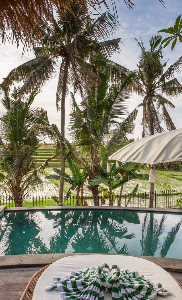 Exclusivo Complejo de Villas con Vistas a los Arrozales en Canggu — imagen 2