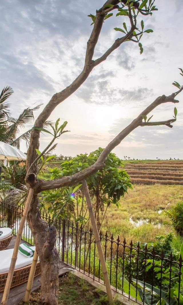 Exclusivo Complejo de Villas con Vistas a los Arrozales en Canggu — imagen 4