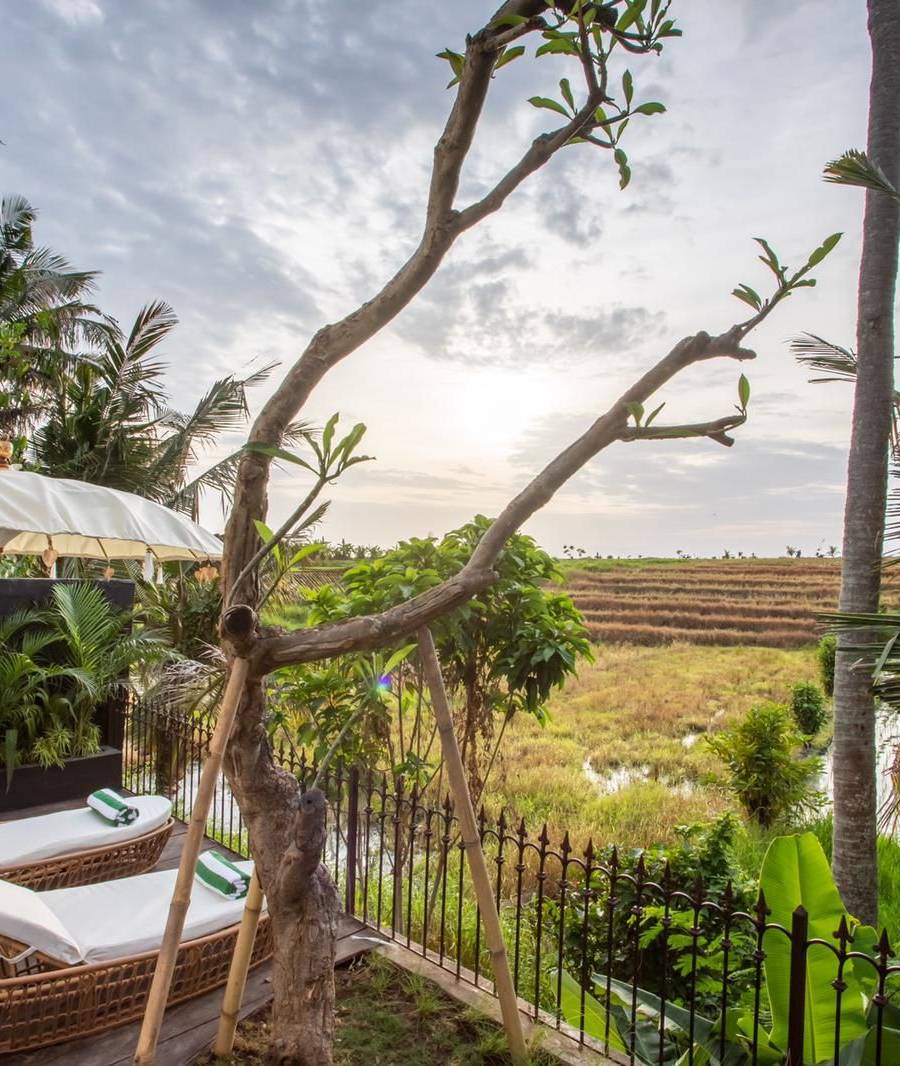 Exclusivo Complejo de Villas con Vistas a los Arrozales en Canggu — imagen 4