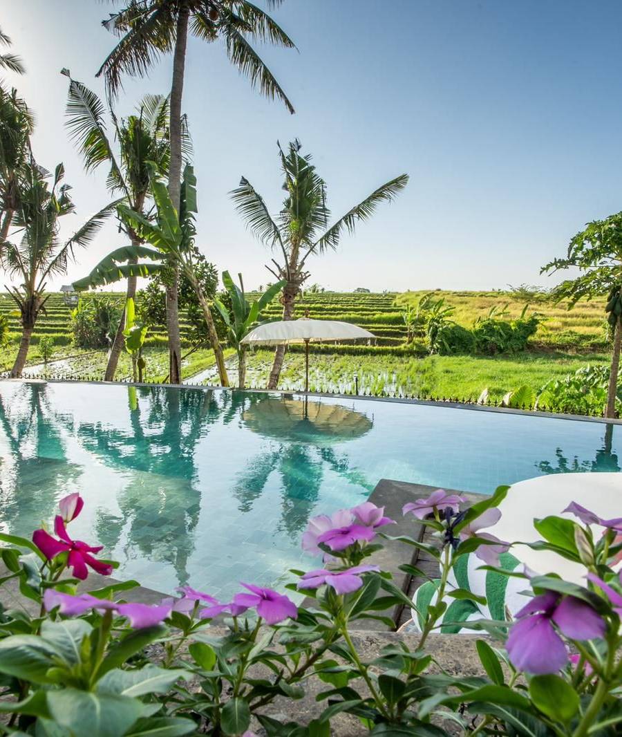 Exclusivo Complejo de Villas con Vistas a los Arrozales en Canggu — imagen 50