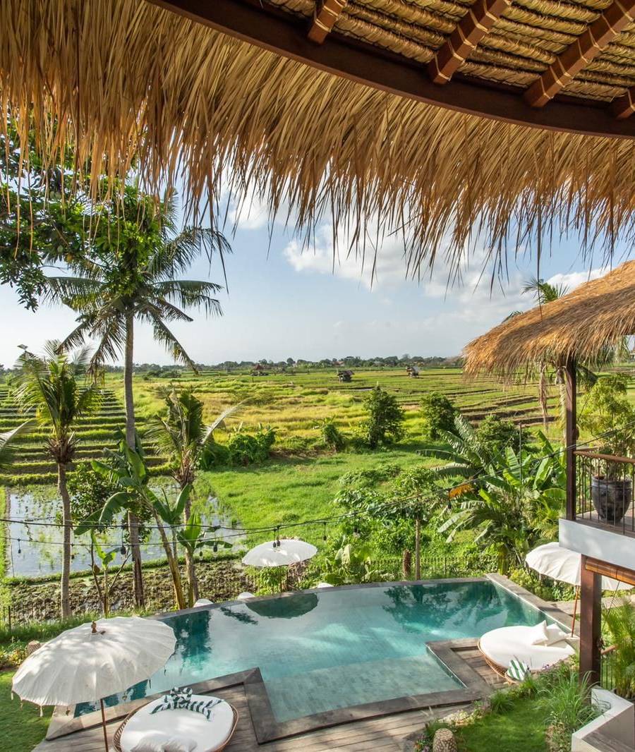 Exclusivo Complejo de Villas con Vistas a los Arrozales en Canggu — imagen 53