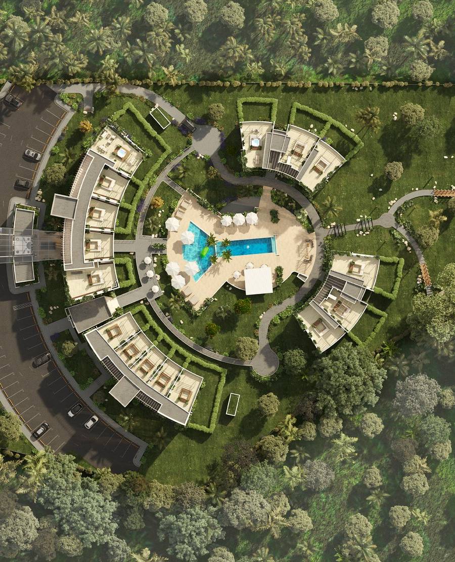 My Dream Samaná — imagen 6