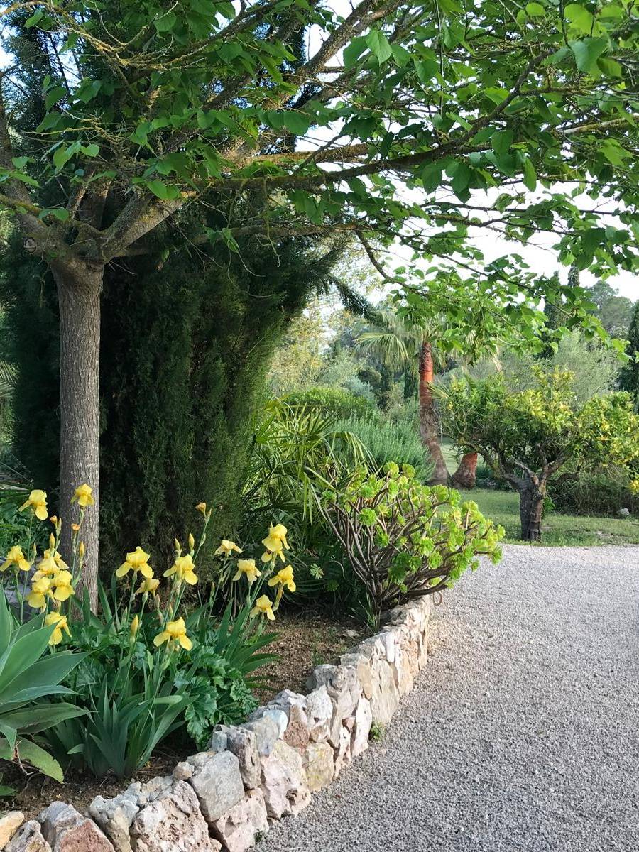 FINCA RUSTICA CON LICENCIA VACACIONAL (ETV) EN MALLORCA — imagen 16