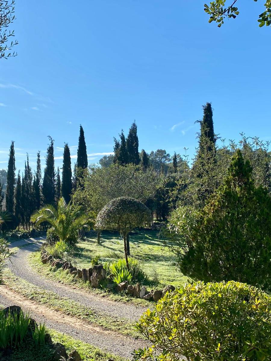 FINCA RUSTICA CON LICENCIA VACACIONAL (ETV) EN MALLORCA — imagen 17