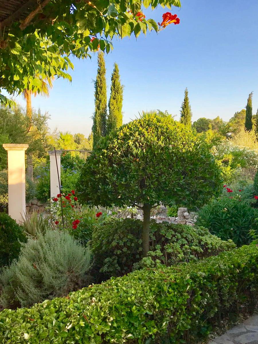FINCA RUSTICA CON LICENCIA VACACIONAL (ETV) EN MALLORCA — imagen 19