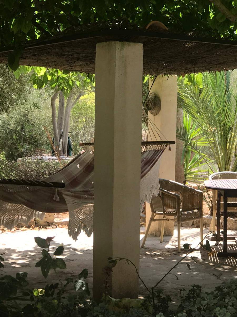 FINCA RUSTICA CON LICENCIA VACACIONAL (ETV) EN MALLORCA — imagen 20
