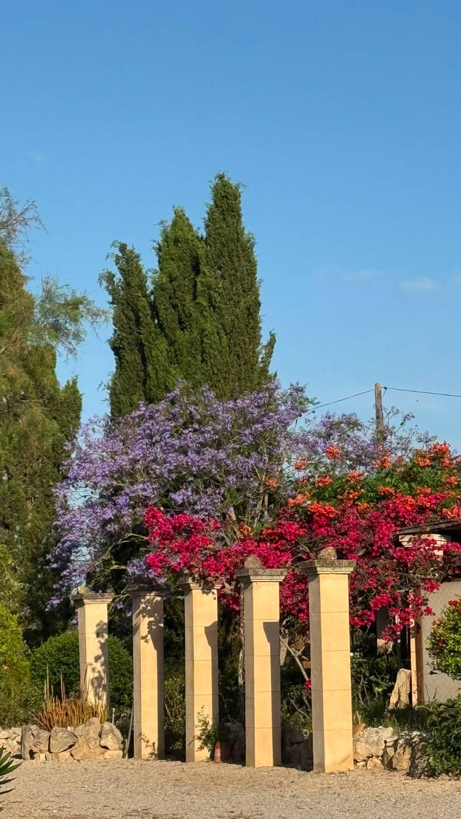 FINCA RUSTICA CON LICENCIA VACACIONAL (ETV) EN MALLORCA — imagen 23