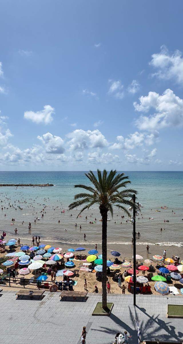 PISO EN LA PLAYA EN TORREVIEJA