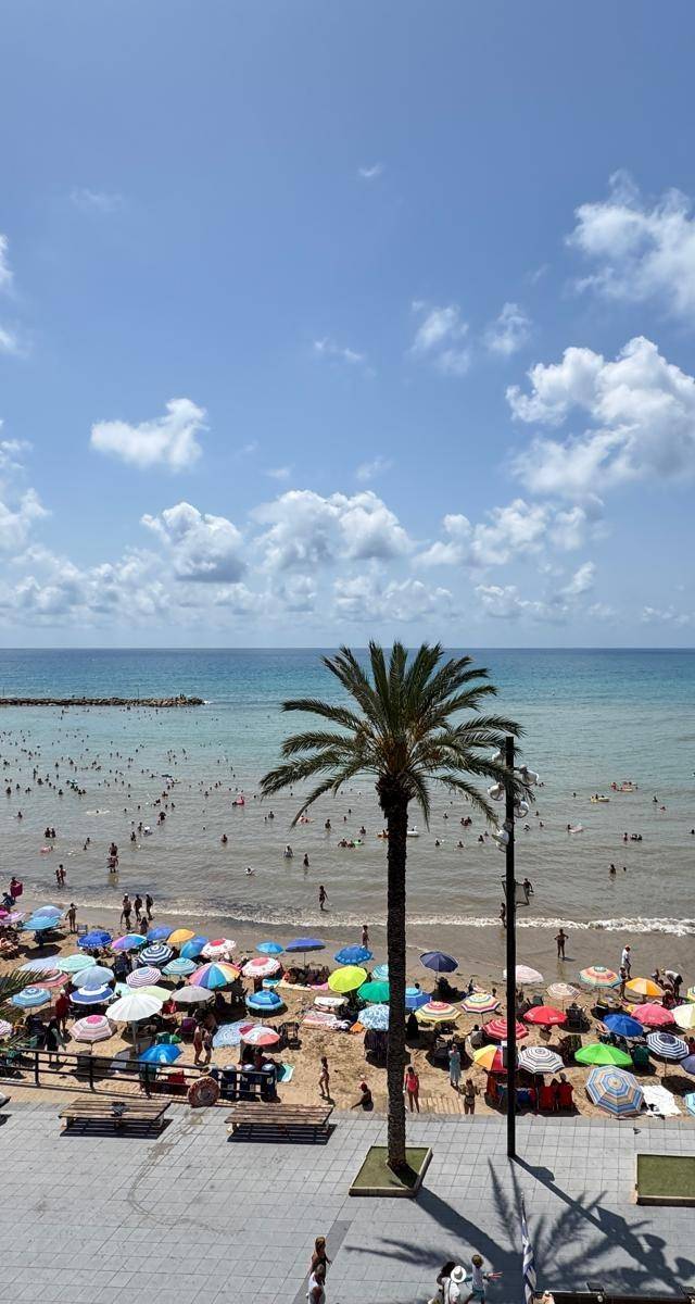 PISO EN LA PLAYA EN TORREVIEJA