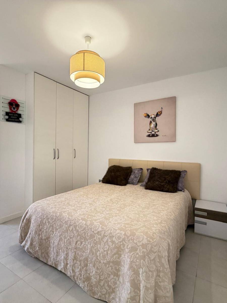 APARTAMENTO CON TERRAZA PROPIA EN CAMPOAMOR — imagen 22